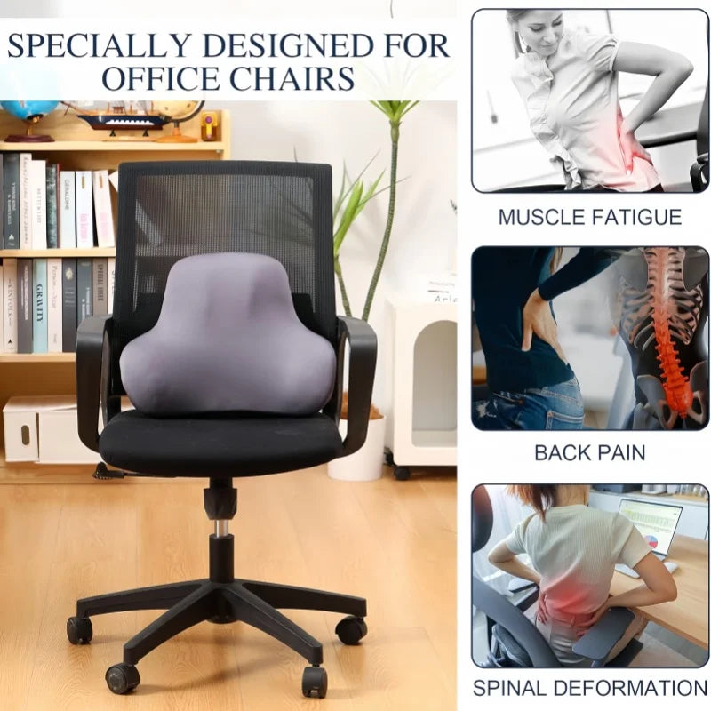 BackWell Lumbar Cushion for Chair & Car
